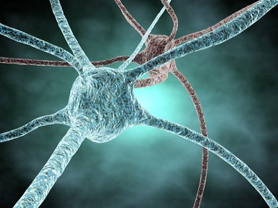 Microscope view of a neuron