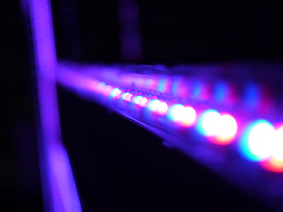 Closeup of LED lights